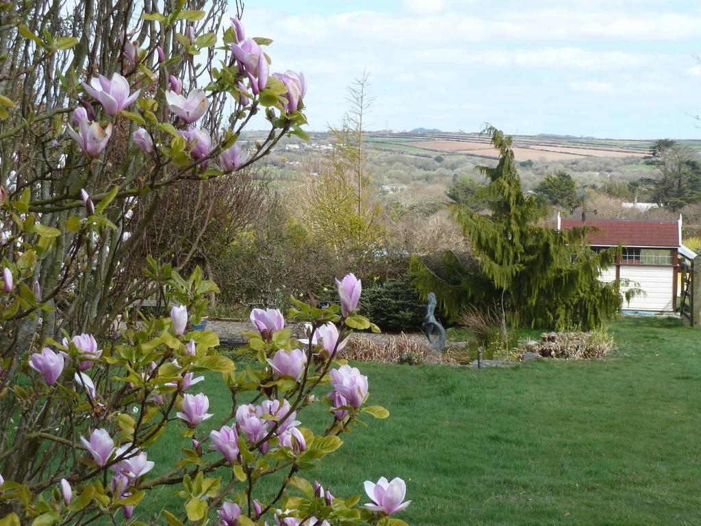 The White Cottage B&B Saint Teath Exterior foto