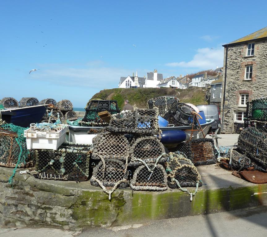 The White Cottage B&B Saint Teath Exterior foto