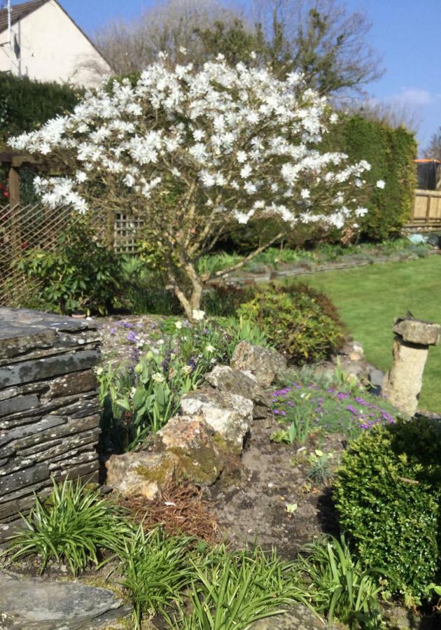 The White Cottage B&B Saint Teath Exterior foto